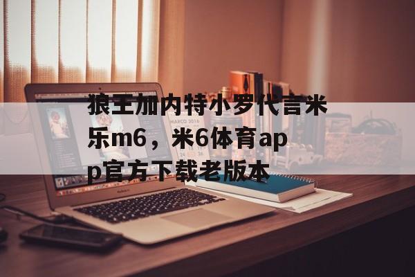 狼王加内特小罗代言米乐m6，米6体育app官方下载老版本